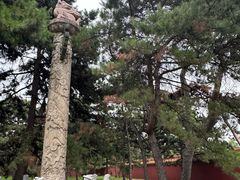 -北陵公园