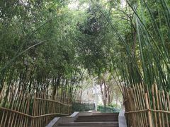 -长乐公园游乐场