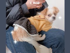 -益友堂盲人推拿正骨穴位按摩工作室