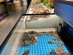 -圣罗巴海鲜烤肉自助(赤峰店)