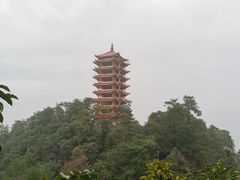 -缙云山景区