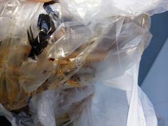 -水一方现烤鱿鱼丝大连特产(高新苏宁百货店)