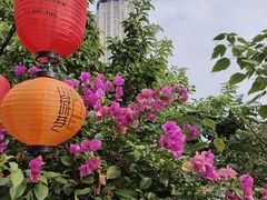 -山城巷传统风貌区