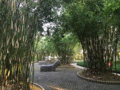 -瀛洲公园