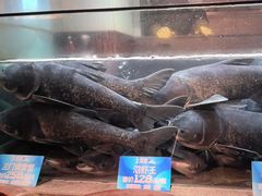 -上名堂·鱼头好吃(体育场路店)