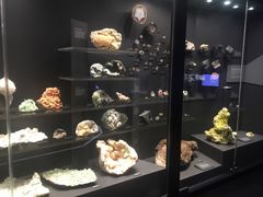 -墨尔本博物馆(Melbourne Museum)
