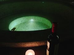 -春晖园度假酒店温泉