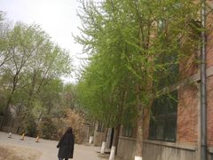 -中国艺术研究院油画院