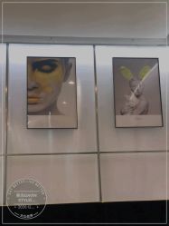 -崇尚GAVIN STYLE臻选