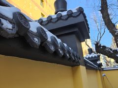 -黑龙江中医药大学