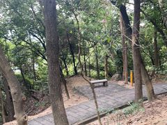 -火炉山森林公园