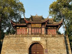 -桂湖森林公园