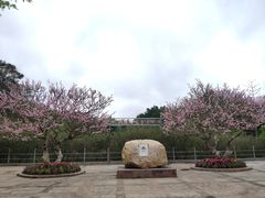 -广东茂名森林公园