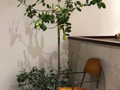 -肥朵食堂(带梦胡同店)