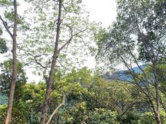 -广州市白云山风景名胜区