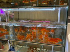 -Bravo永辉(爱琴海购物公园店)