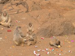 -昆明动物园