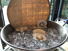 -珠海拱北口岸富华里中海雅高铂尔曼酒店