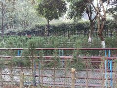 -韶山毛泽东同志故居