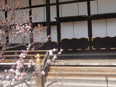 iphone_upload_pic-京都御所