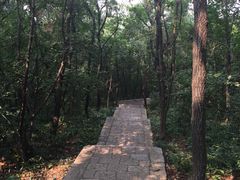 -南山风景名胜区