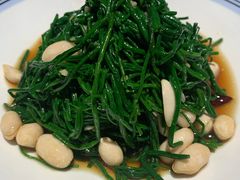 -老阿妈蒙古村·蒙古包·草原文化·歌舞表演(老君堂店)