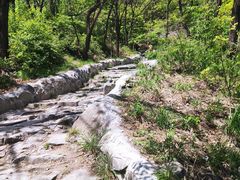 -阳台山自然风景区