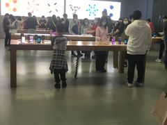 -Apple零售店(深圳益田假日广场店)