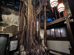 -文儒九号·闽菜馆(三坊七巷店)