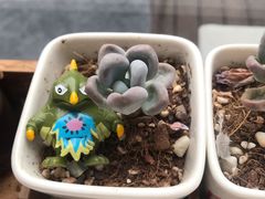 -UNI UNI(环亚凯瑟琳店)