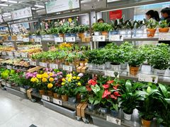 -鹿岛生活(熙地港店)