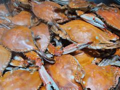 -四海蒸鲜蒸汽海鲜自助(北戴河店)