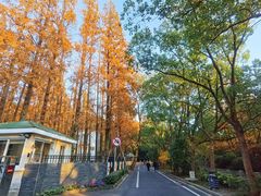 -上海佘山世茂艾美酒店
