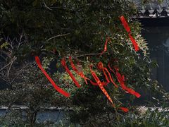 -无锡梅园公园