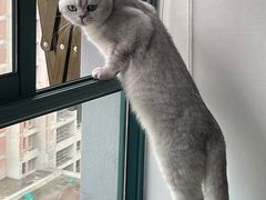 -爱康国宾体检中心(杭州滨江江南大道分院)