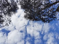 -云南野生动物园