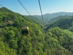 -栾川竹海野生动物园