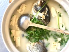 -天乐农家鱼头王(天目湖店)