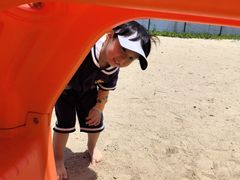 -碧海金沙