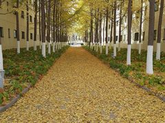 -北京国家会计学院