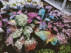 -秦美花卉(天朗·莱茵小城2期店)