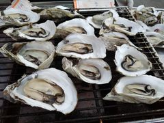-蚝专家(北滘店)