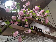 -一坐一忘云南菜(卓悦中心)