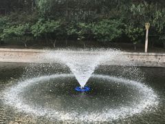 晨跑旁-大连外国语大学(旅顺校区)
