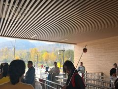 -千年银杏谷文化旅游区