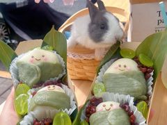 -大象厨房(重庆道店)