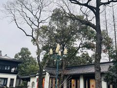 -杭州西湖柳莺里酒店