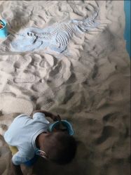 -恐龙探索乐园(磁器口店)