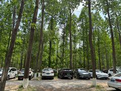 -黄海国家森林公园