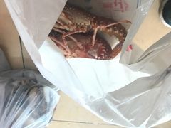 -大湾区中央湿地公园-十九涌